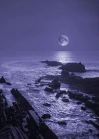 暗夜(主线gl,中间插bg,关系很乱,介意勿入)